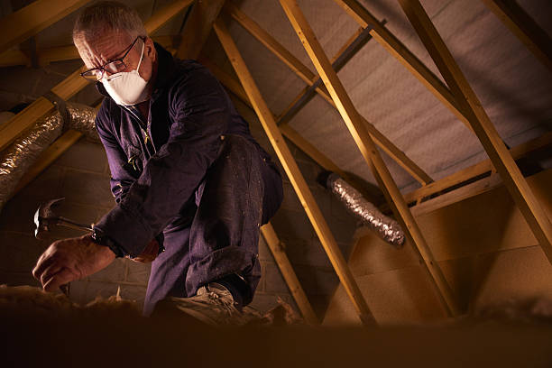 Best Insulation for Specific Applications in North Port, FL